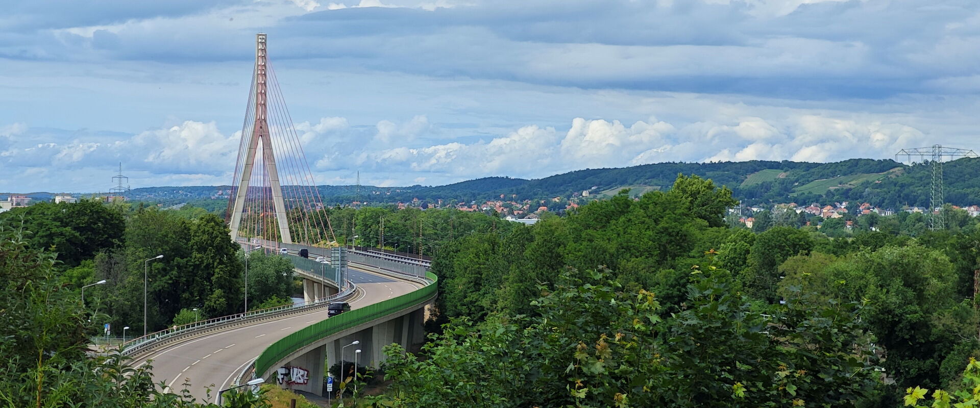 Blick auf die Schrägseilbrücke in Niederwartha | Die Brücke ist umgeben von vielen grünen Bäumen. Im Hintergrund: Hänge von Radebeul und Coswig. | © Foto: Nicole Krone