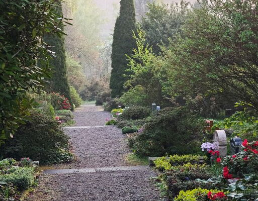 Bergfriedhof Cossebaude 2025 zu Ostern in der Morgensonne