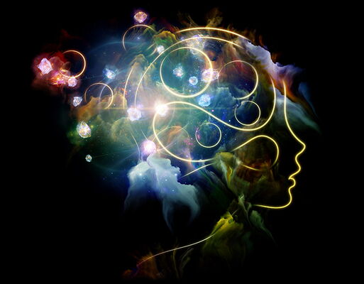 Lange Nacht der Wissenschaften 2025